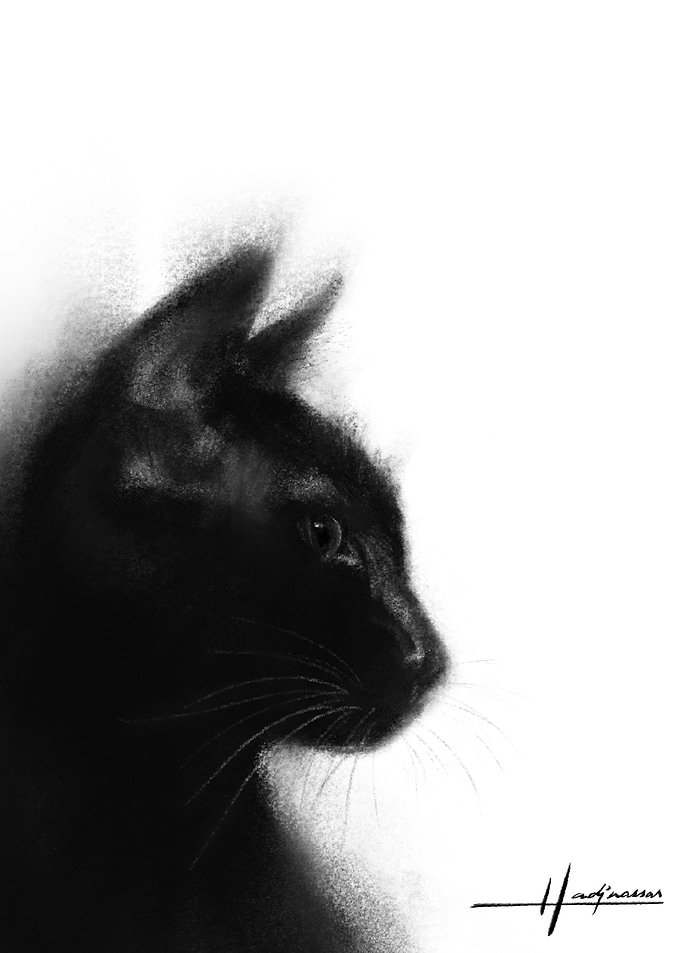 Black Cat Portrait
