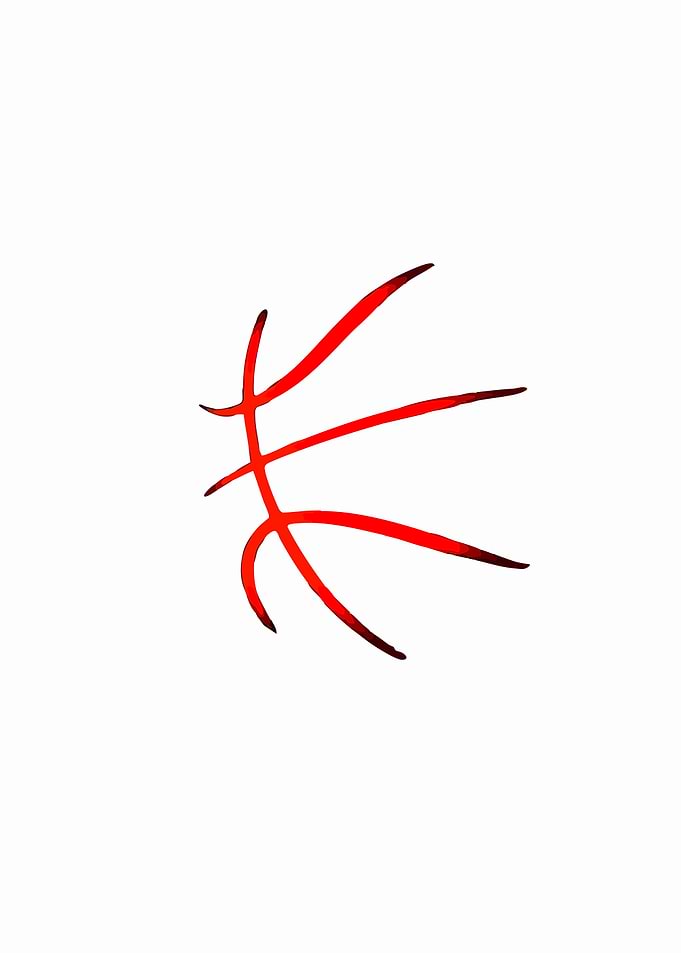 Red Basketball Lines