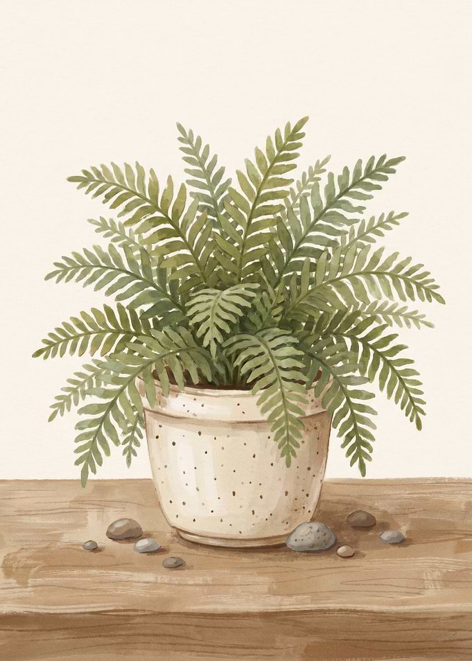 Potted Fern on Wooden Surface