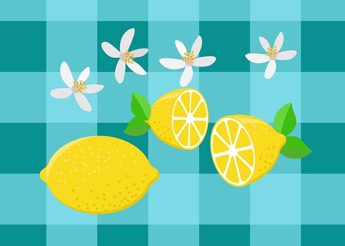 Lemons and Flowers on Blue Gingham