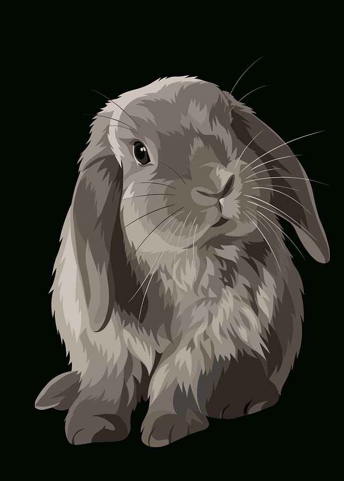 Cute Lop-Eared Rabbit Illustration