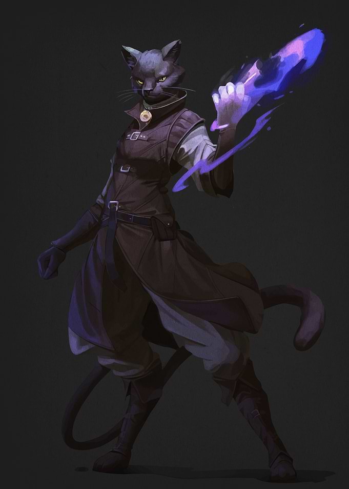 Black Cat Mage Casting Magic