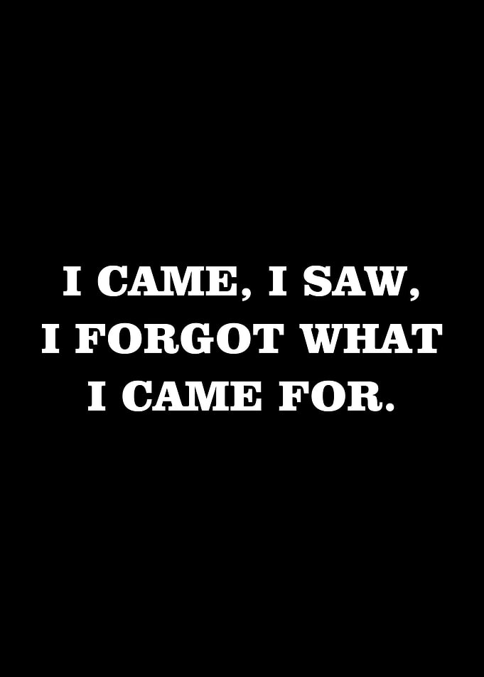 I Came I Saw I Forgot What I Came For