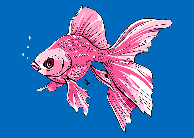 Pink Goldfish with Bubbles