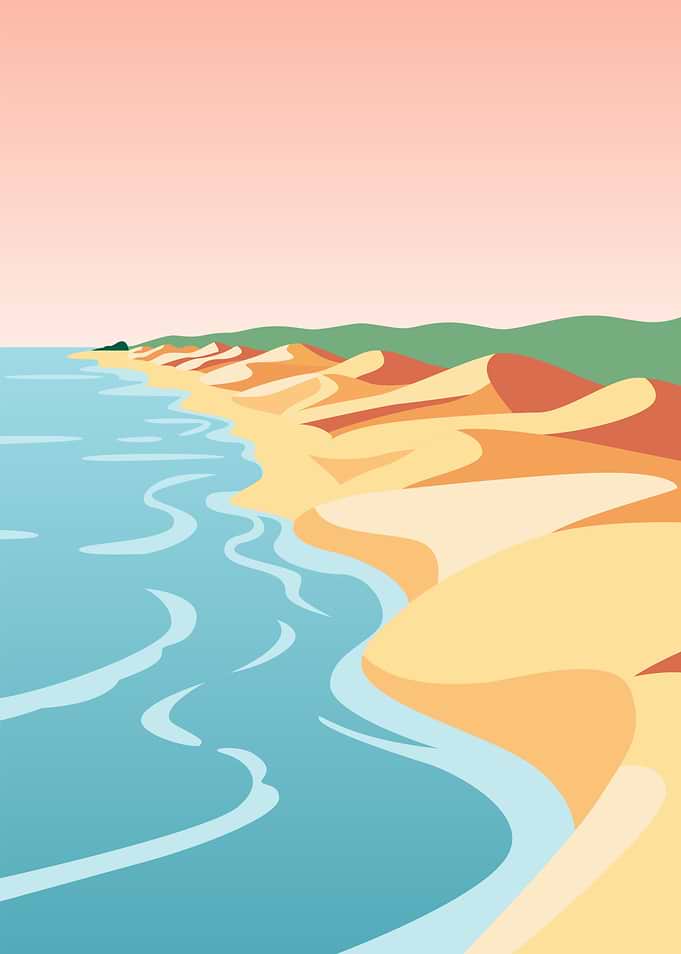 Coastal Dunes and Ocean