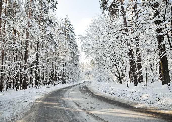 Snowy Forest Road