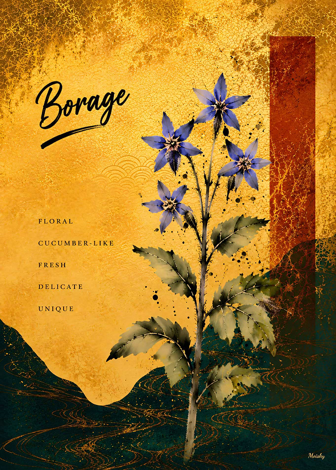 Neo-Rinpa Culinary Botanicals No. 03 – Borage Kitchen Wall Art