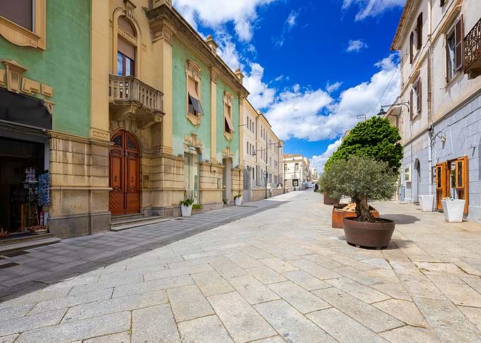 European Street Scene with Olive Tree