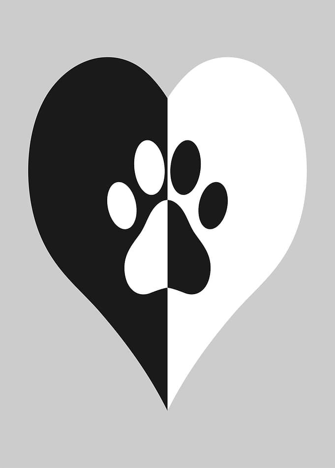 Heart Paw Print