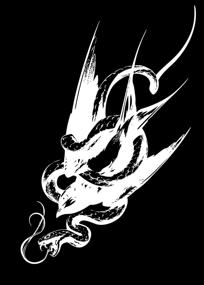 Snake and Bird Illustration