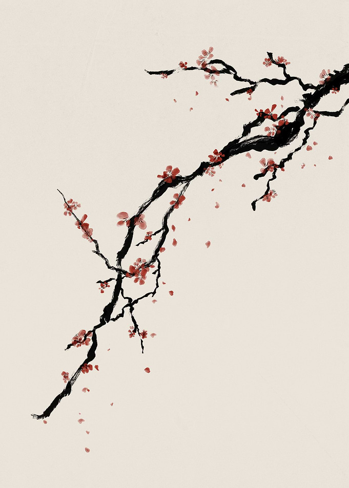 Ink Wash Cherry Blossoms on Branches
