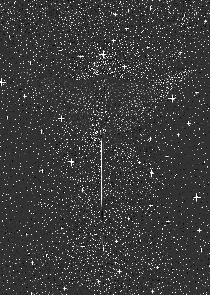 Stars in the Deep _ Eagle RAY