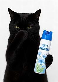 Black cat holding toilet freshener