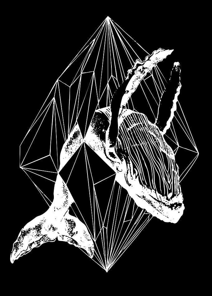 Geometric Whale Illustration