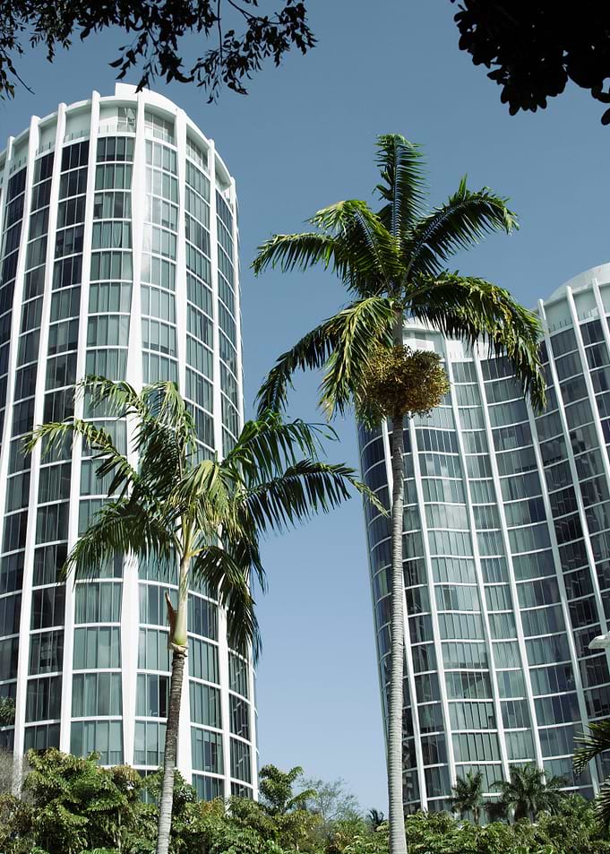 Modern Towers and Palm Trees / cityscape, nature, architecture / fine-art photography