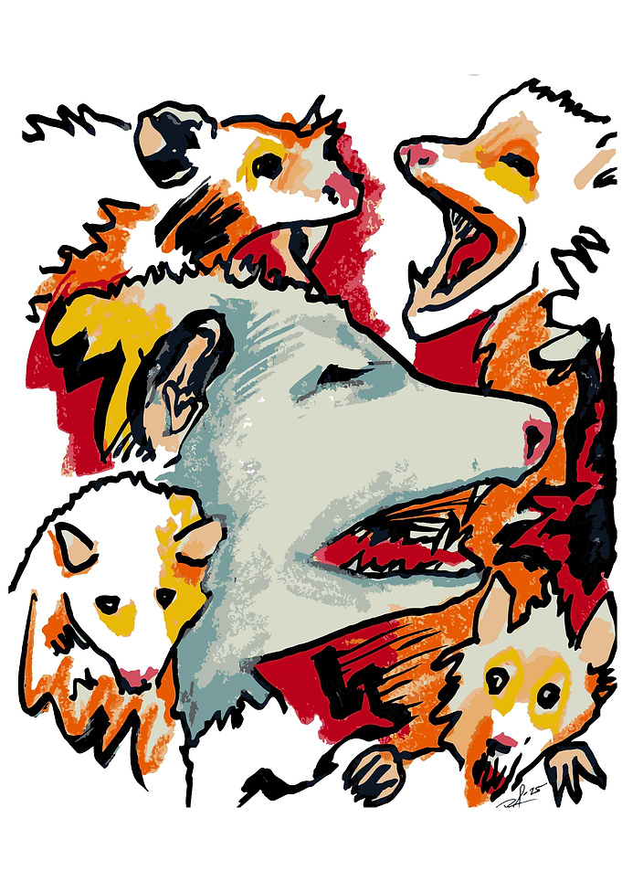Opossums in a chaotic scene