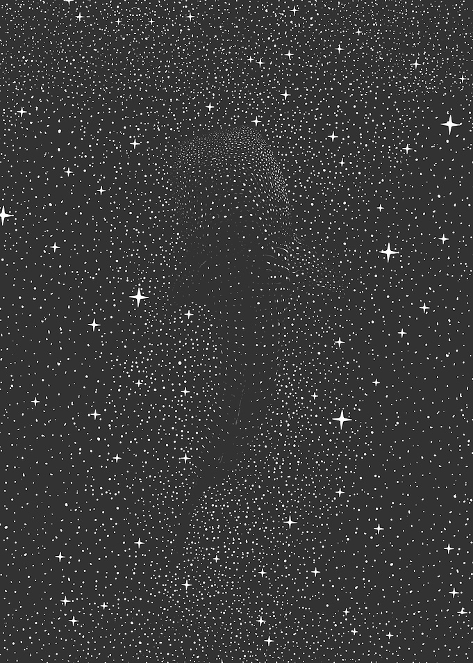 stars in the deep _ Whale Shark