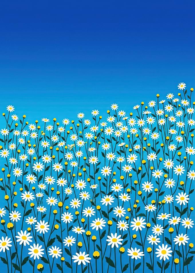 Field of Daisies Under Blue Sky