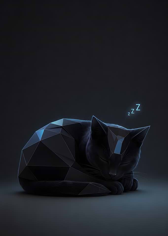 Geometric Black Cat Sleeping