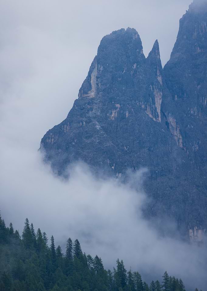 Misty Mountain Peaks and Forest - San Martino di Castrozza - Dolomites