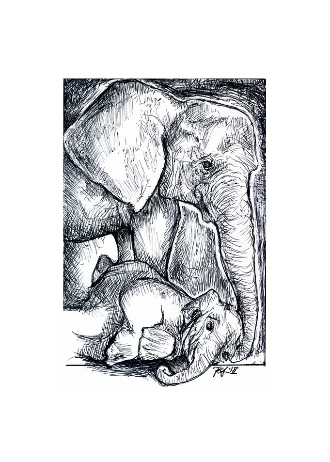 Mother and Baby Elephant Sketch