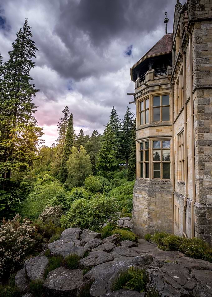 Gothic Architecture Amidst Lush Forest