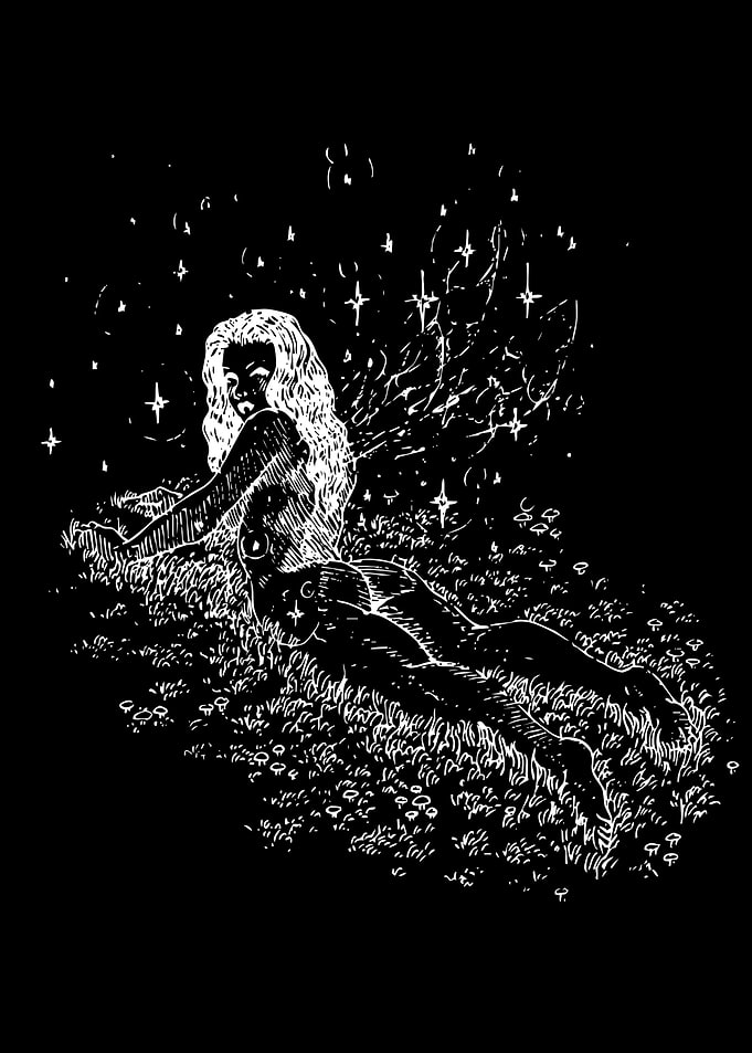 Fairy in a Starry Meadow