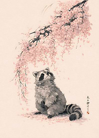 Raccoon Under Cherry Blossoms