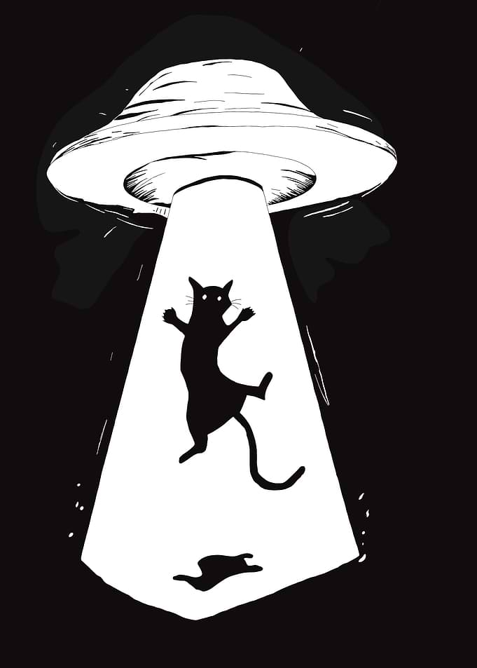 Cat Abducted by UFO