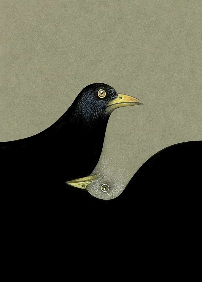 Two Crows Yin Yang