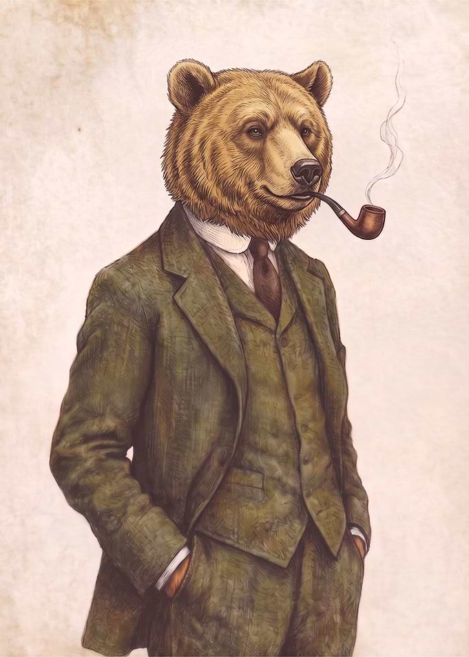 The Bear