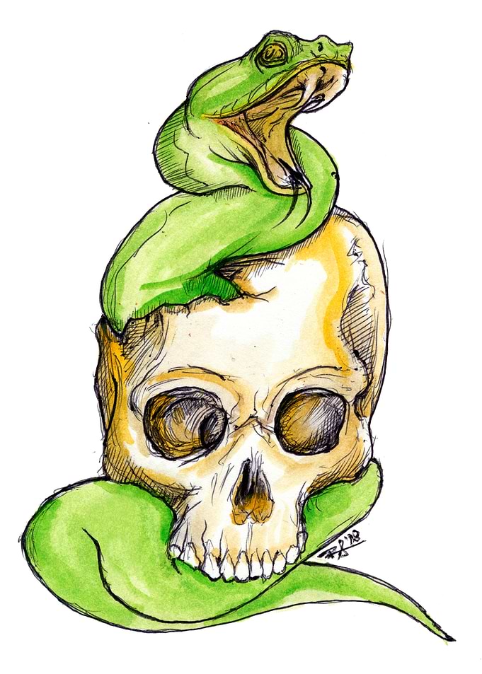 Snake coiled around a skull