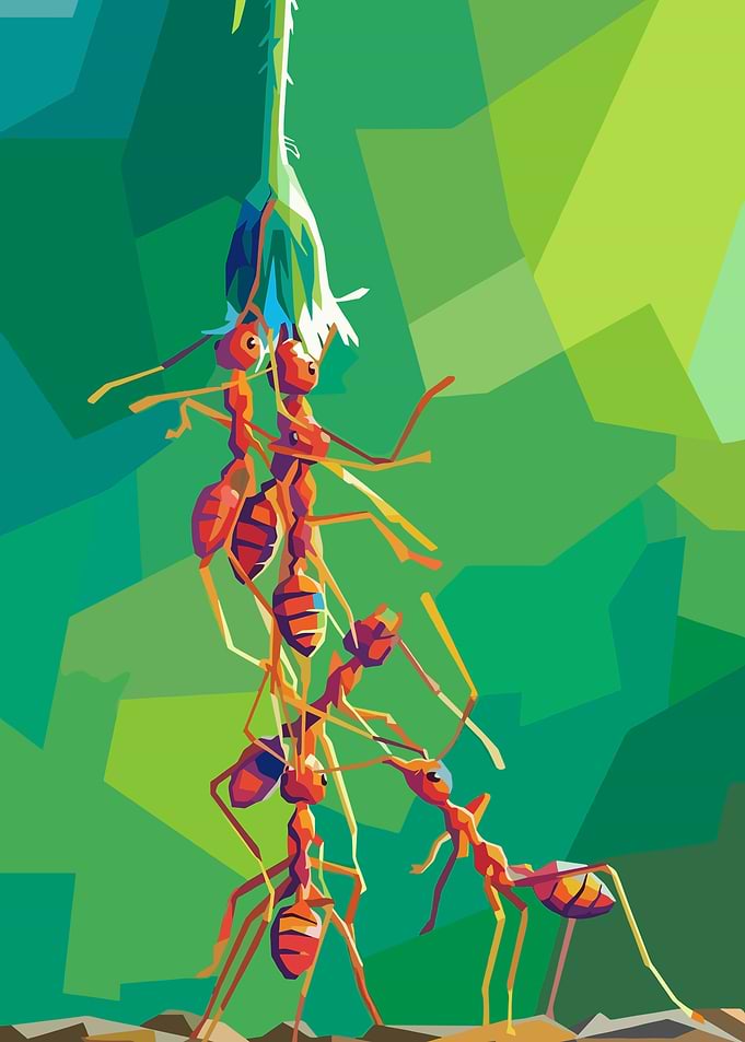 Ants working together to climb a plant