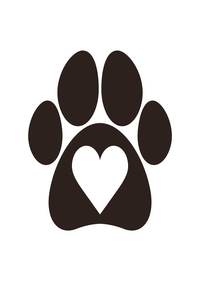Paw Print Heart Icon