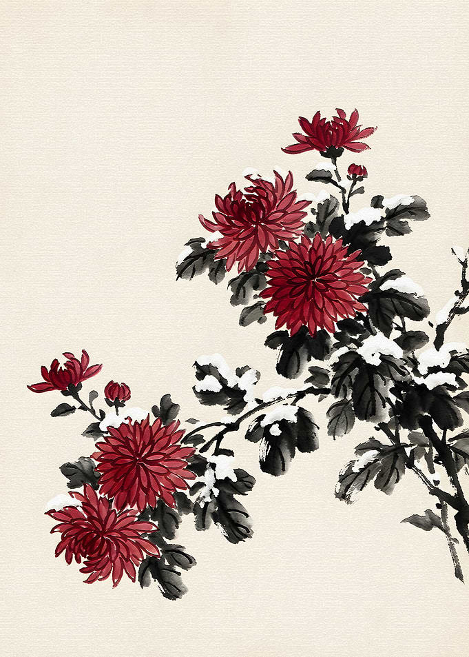 Red Chrysanthemums with Snow