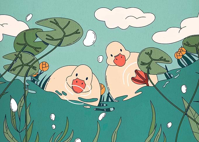 Cute Ducks in Water with Lily Pads