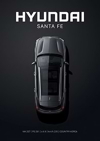 Hyundai Santa Fe Top View