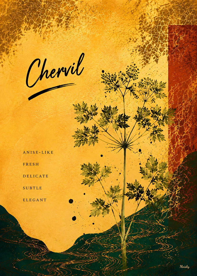 Neo-Rinpa Culinary Botanicals No. 04 – Chervil Kitchen Wall Art