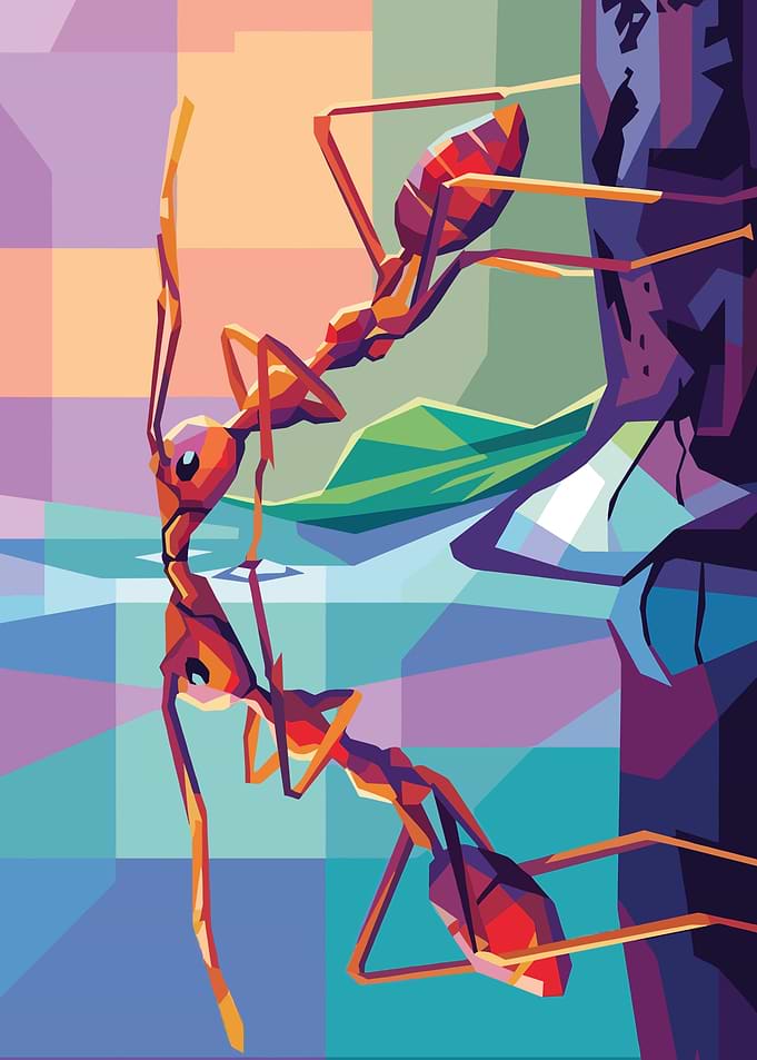 Ant Reflecting in Water