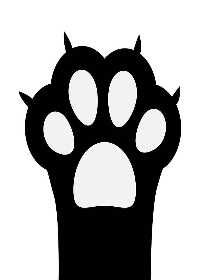 Black Paw Print with Claws