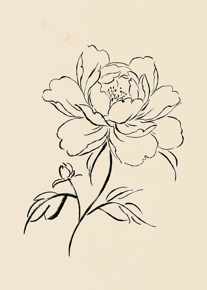 Black Ink Peony Flower Drawing
