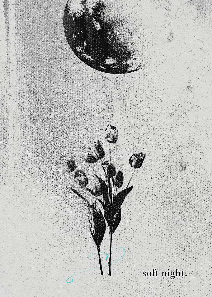 Moon and Tulips