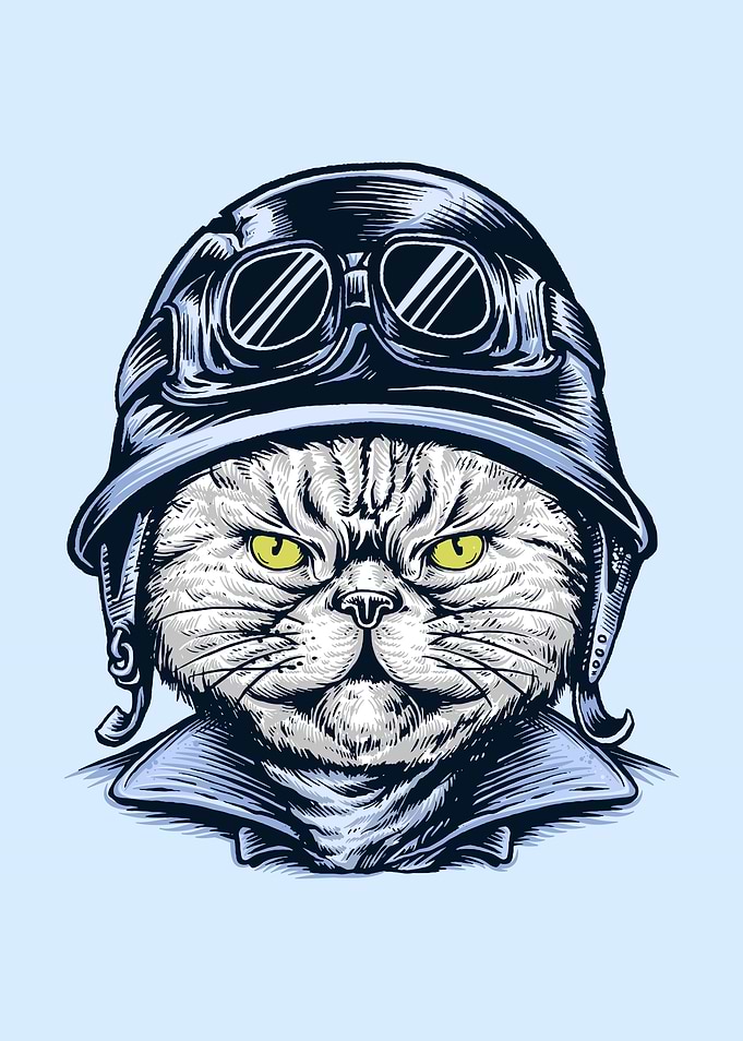 Biker Cat with Goggles and Helmet