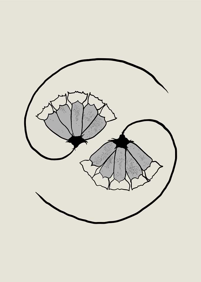Yin Yang Floral Design