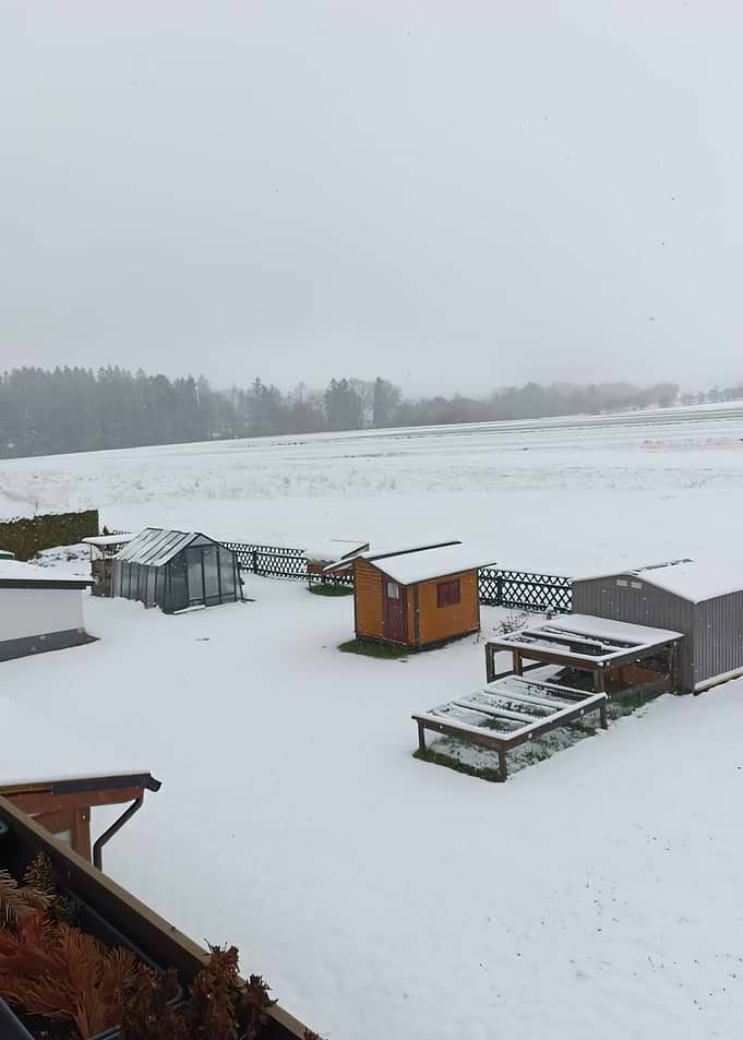 Snowy backyard with sheds and greenhouse