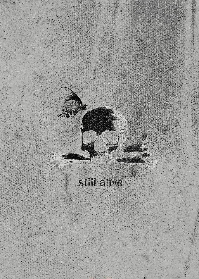Skull and Butterfly 'Still Alive'