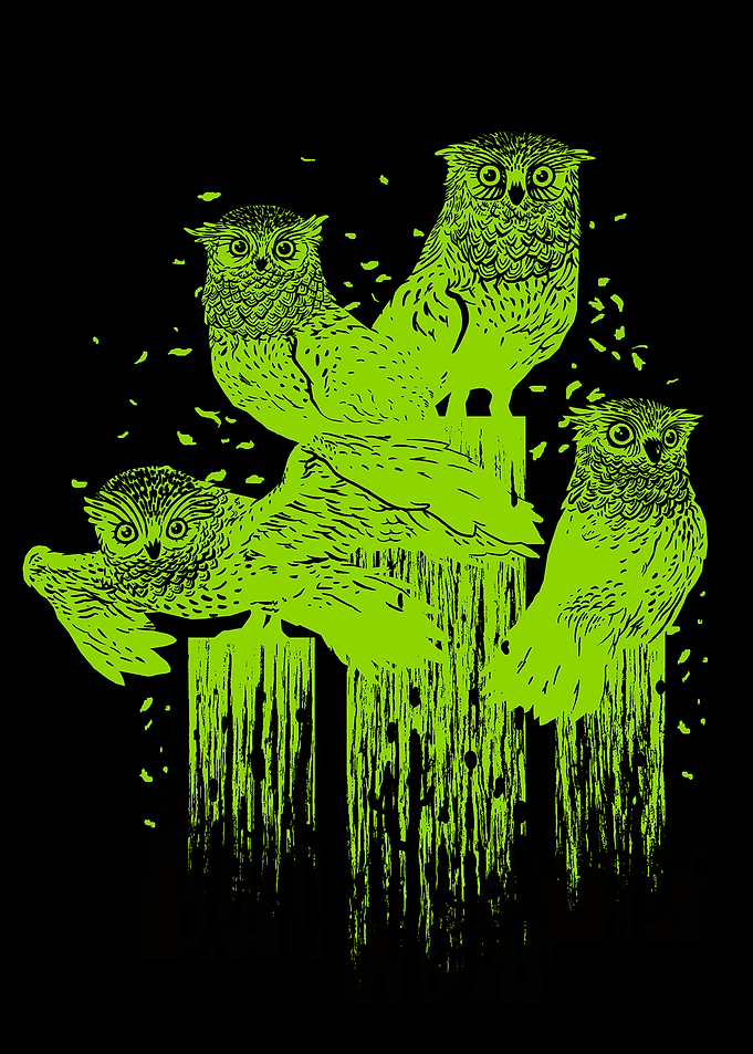 Four Owls on a Perch