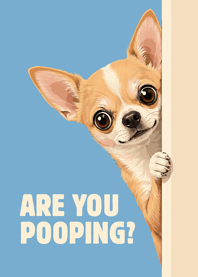 Funny Chihuahua: Are you pooping?