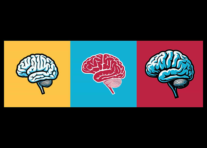 Three Brain Illustrations on Colorful Backgrounds