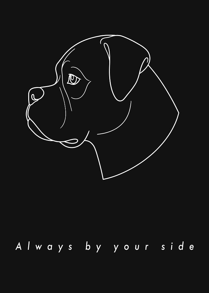Boxer Silhouette Line Art — Obsidian Gray Edition